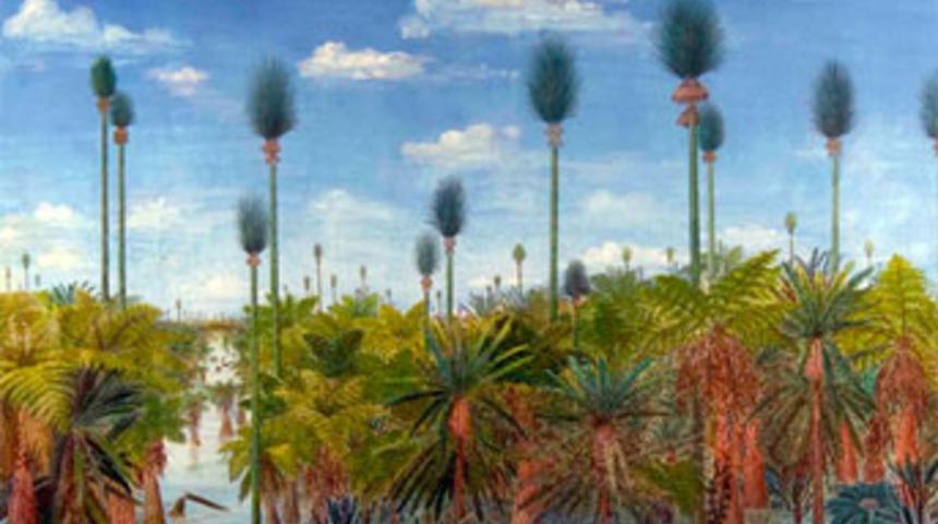 &Ccedil;in'de 300 milyon yıllık orman bulundu