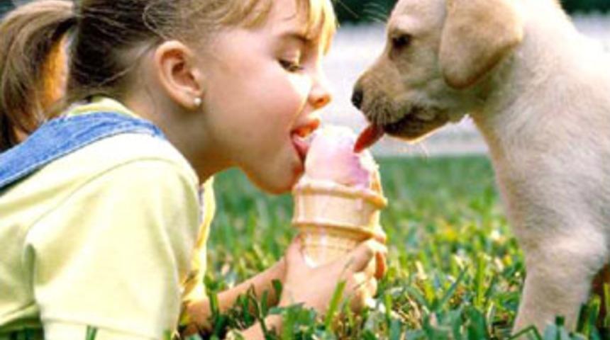 Dondurma uyuşturucu kadar bağımlılık yapıyor!