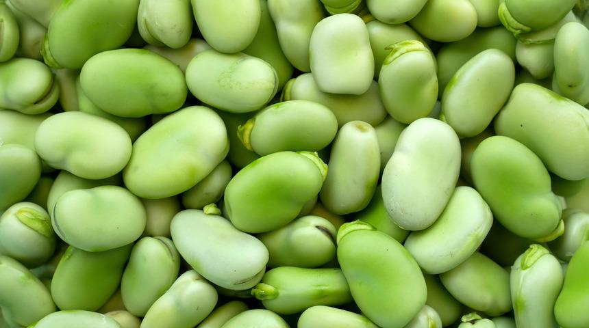 Baklanın faydaları nelerdir? Bakla hangi hastalığa iyi gelir?