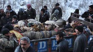 CHP heyetinden kan donduran Uludere iddiası