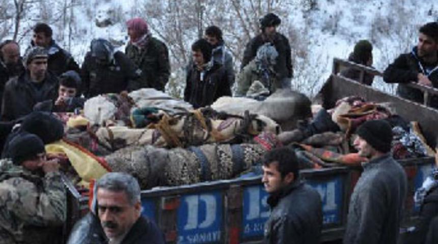 Uludere faciasında gözden kaçan acı gerçek