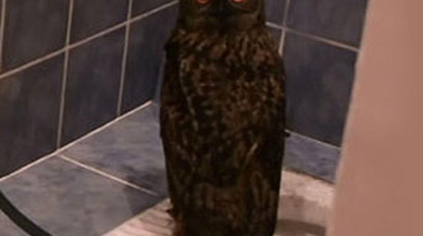 Tuvaletin kapısını a&ccedil;tı şok oldu