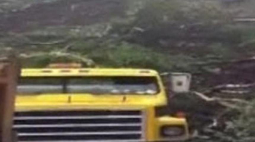 Dehşete d&uuml;ş&uuml;ren g&ouml;r&uuml;nt&uuml;ler