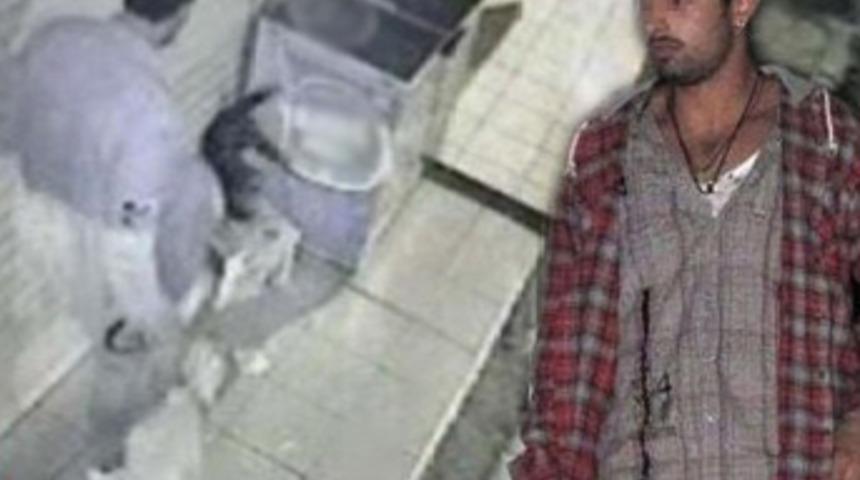 Kediyi öldüren öğrencinin cezası belli oldu