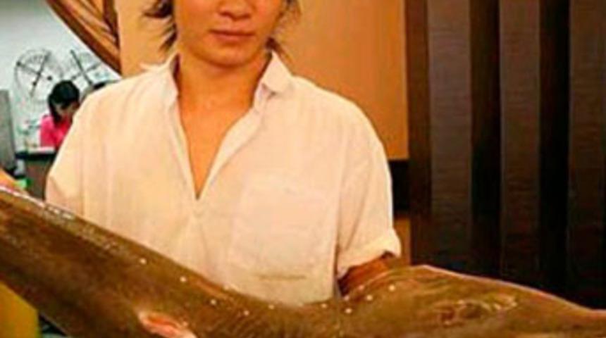 Balığın karnından tarihi madalyon &ccedil;ıktı!