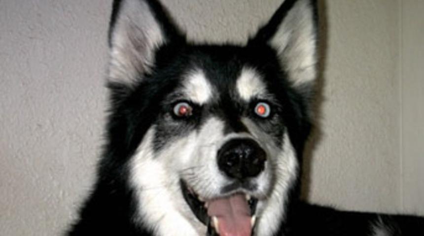 Yeni doğmuş bebeği par&ccedil;aladı