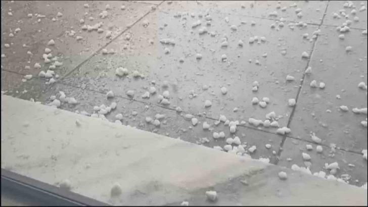 Karton, kilim, kaban ve montla müdahale ettiler! Her şey 10 dakikada oldu G2