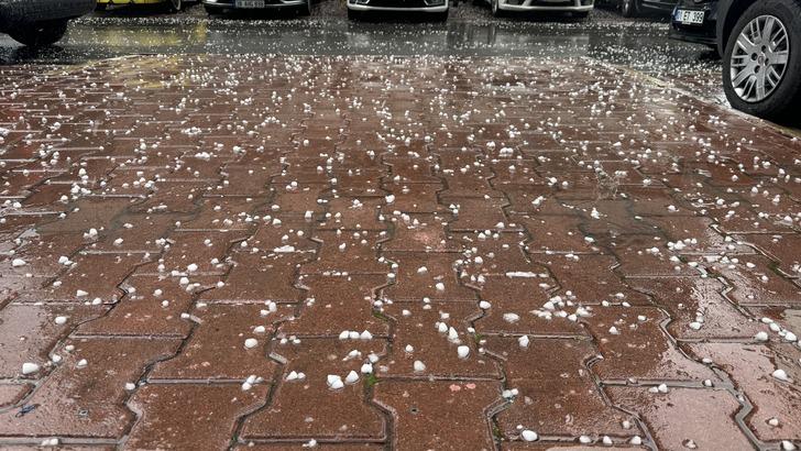 Karton, kilim, kaban ve montla müdahale ettiler! Her şey 10 dakikada oldu G5