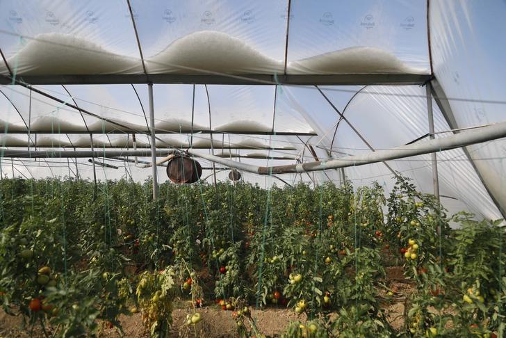 'İlk defa karşılaşıyorum! Camlara korkunç şekilde vurdu' Yer: Antalya! 'Süper hücre' etkisi "Erimemiş olmasına inanamıyorum" G3