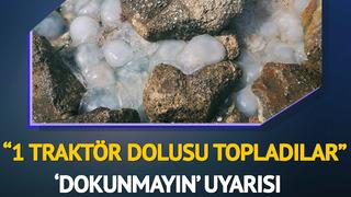 Sahilde yürüyüş yapanlar karşılaştıkları manzarayla şaşkına döndü! 'Ölüsüne bile dokunmayın'