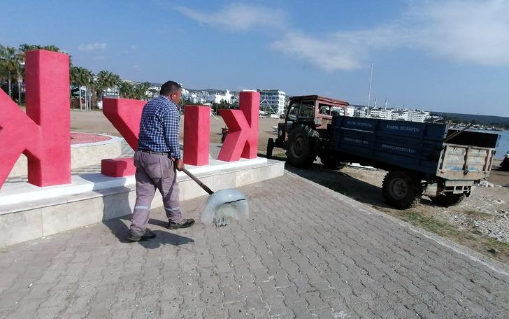 Sahilde yürüyüş yapanlar karşılaştıkları manzarayla şaşkına döndü! 'Ölüsüne bile dokunmayın' G3