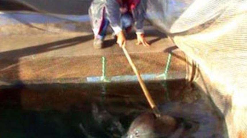 Badem'in sopayla d&ouml;v&uuml;ld&uuml;ğ&uuml; şok g&ouml;r&uuml;nt&uuml;ler