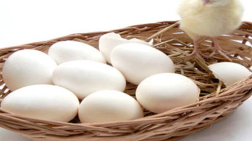 D&uuml;şman T&uuml;rkiye'den getirip bize yedirmişsiniz