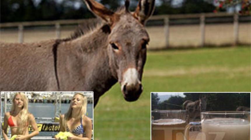 Yarışmada eşek menisi i&ccedil;tiler