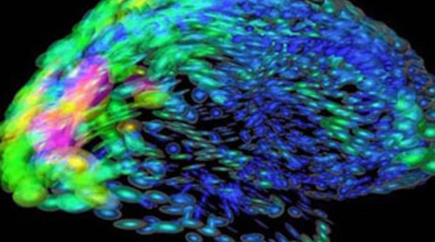 Akıldan ge&ccedil;enleri &ouml;ğrenmek m&uuml;mk&uuml;n m&uuml;?