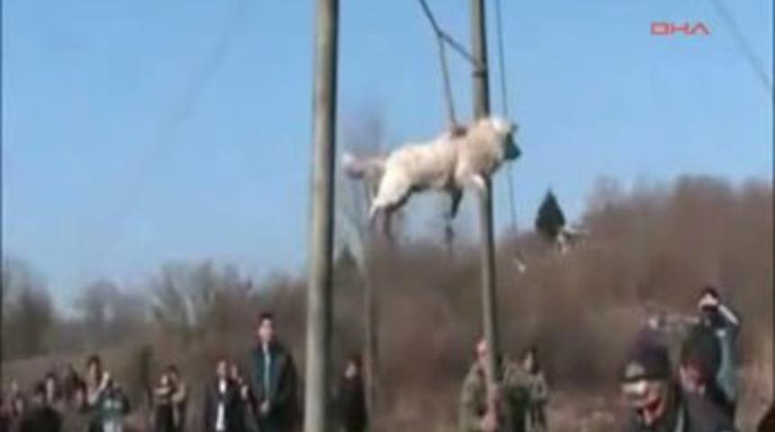 Şoke eden kuduz ayini!