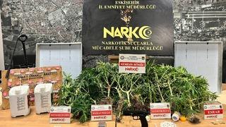 Eskişehir'de evinde Hint keneviri yetiştiren kişi tutuklandı