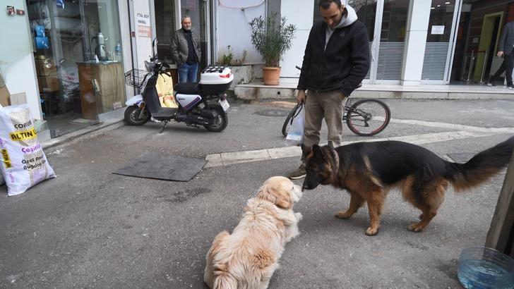 "BENİMLE ALAKASI OLMAYAN BİR KÖPEK DAVASINDAN BAŞIMA GELMEYEN KALMADI"