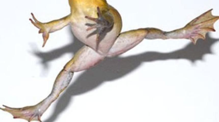 Sıradışı 29 Şubat efsaneleri!