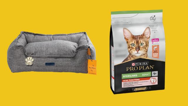 Mama kabından şampuana evcil hayvan sahiplenmek isteyenlerin mutlaka edinmesi gereken ürünler