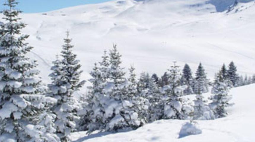 Sigara içen öğrencilerini dağ başında bıraktı