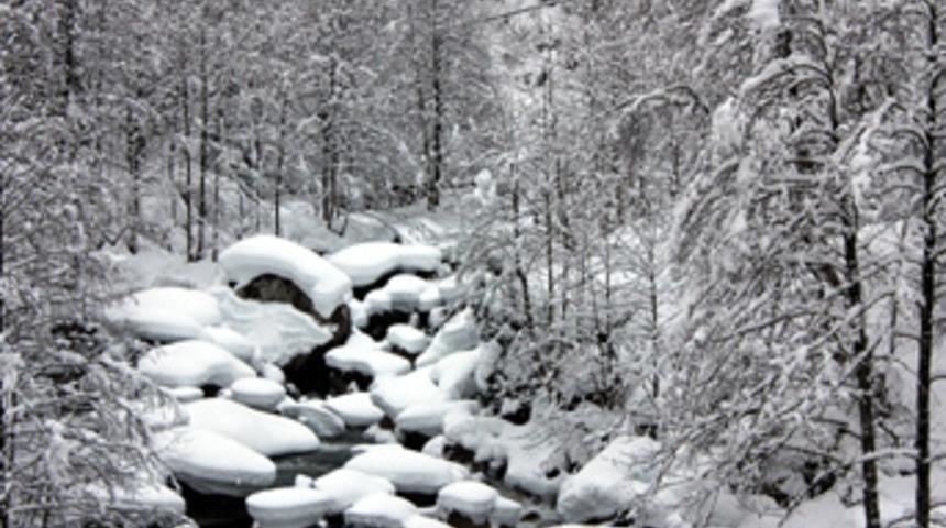 'Alo, donuyorum' dedi, uydudan kurtarıldı