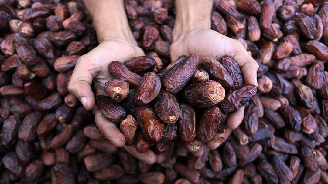 En ucuz hurma ne kadar? Hurma alırken bunlara dikkat: 650 TL ye kadar çıkıyor! 3