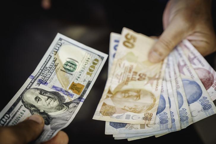 Dolarları bir bir sattılar! Son 1 yılda her şey değişti: Parasını katlamak isterken yüzde 38 kaybettiler G1