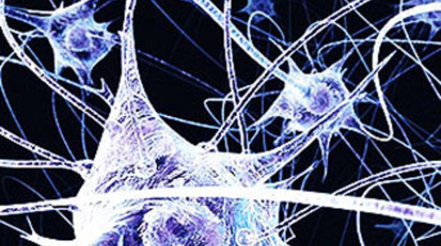 Yeni beyin hücresi geliştirildi!