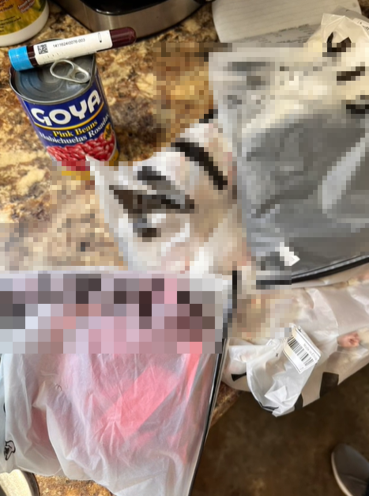 İnternetten kıyafet alışverişi yaptı! Kargo paketinden konserve kutusu ve bir tüp insan kanı çıktı... "Salatalık olmasını tercih ederdim" G3