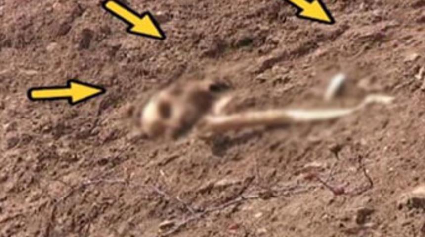 Kayan topraktan insan kemikleri &ccedil;ıktı!