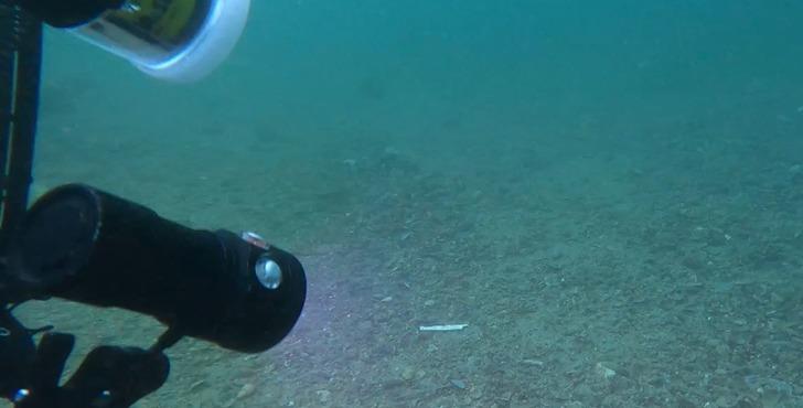 Marmara'da mevcut tablo korkuttu! Artık daha sıcak... Görüş mesafesi düştü 'Sığ kıyılarda ortaya çıktı' G5