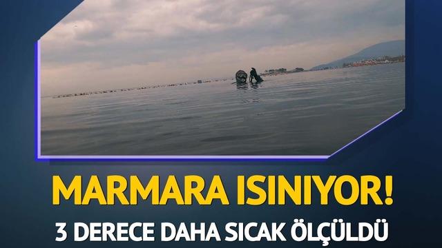 Marmara'da mevcut tablo korkuttu! Artık daha sıcak... Görüş mesafesi düştü 'Sığ kıyılarda ortaya çıktı'