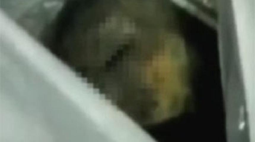 Gazeteciler Suriye'de mi g&ouml;m&uuml;ld&uuml;?