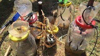 5,5 ay süreyle yasaklandı! 'Akademisyenlerin tavsiyeleri doğrultusunda stoklarımızın korunması için...'