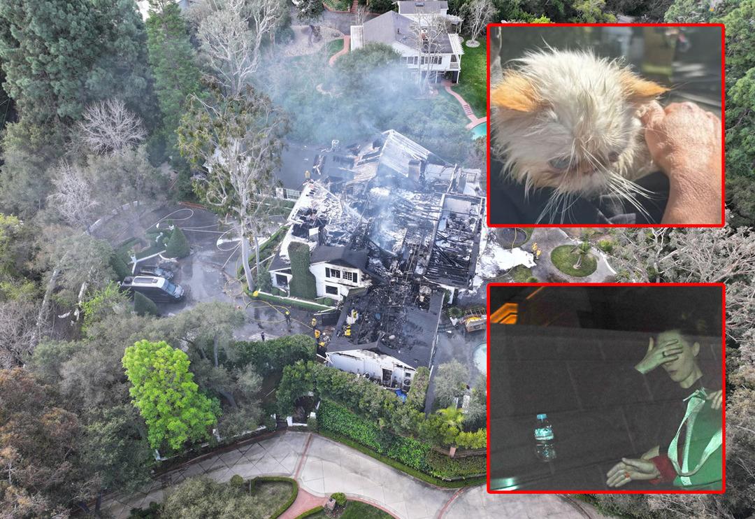 7 milyon dolarlık malikanesi k&uuml;l oldu! Cara Delevingne'nin evcil dostları b&ouml;yle kurtarıldı