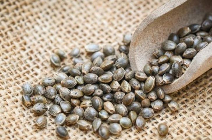 Doğurganlığı artıran mucizevi tohum: Adet düzensizliğini bitiriyor, rahimdeki iltihapları kurutuyor! Adeta kadınlar için yaratılmış G3