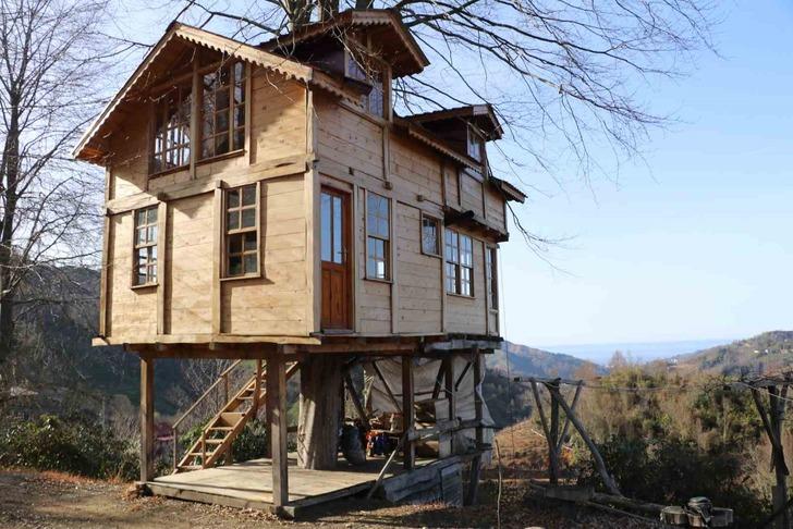 110 metrekare 2+1 ev! Görenler gözlerine inanamadı! 'Kiralamayı da düşünüyorum' 150 yıllık ağacın gövdesinde... G5