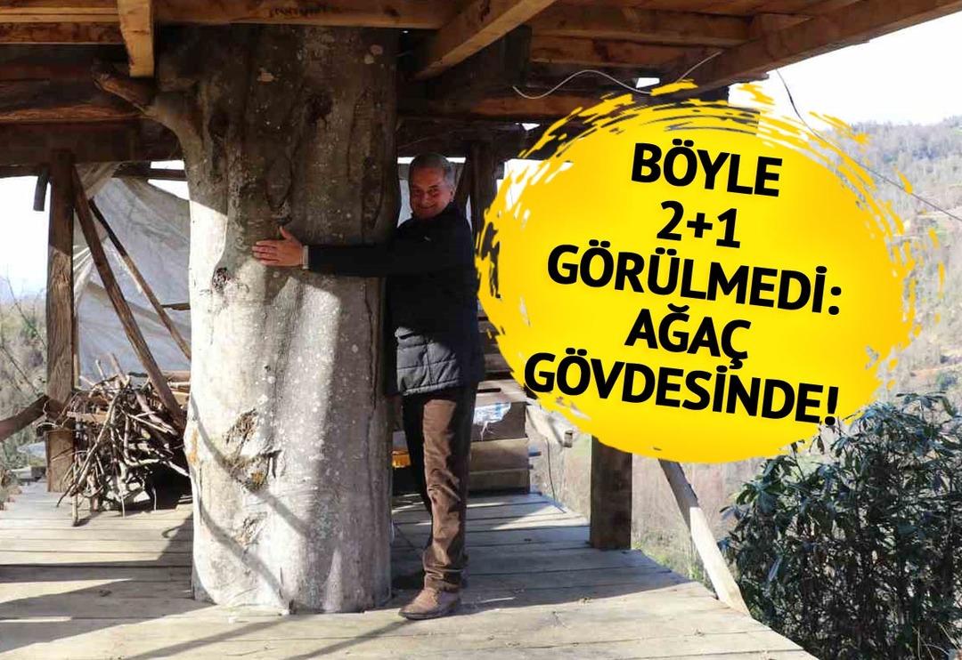 110 metrekare 2+1 ev! G&ouml;renler g&ouml;zlerine inanamadı! 'Kiralamayı da d&uuml;ş&uuml;n&uuml;yorum' 150 yıllık ağacın g&ouml;vdesinde...