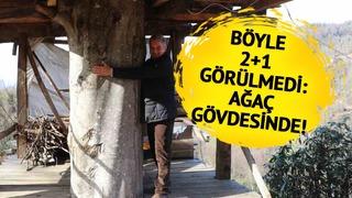 110 metrekare 2+1 ev! Görenler gözlerine inanamadı! 'Kiralamayı da düşünüyorum' 150 yıllık ağacın gövdesinde...