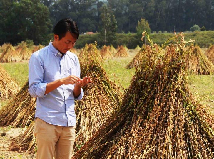 Türkiye'de yetişiyor... Japonlar bayılıyor! Yoğun talep var 'Daha pahalı olmasına rağmen bizi tercih ediyorlar' G1