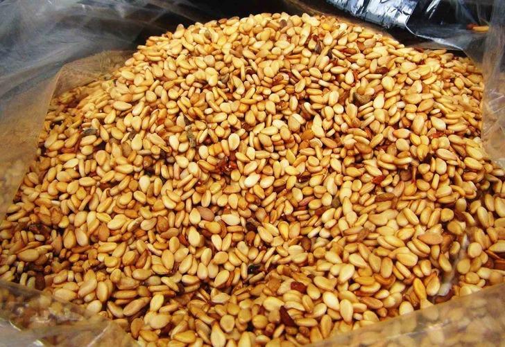 Türkiye'de yetişiyor... Japonlar bayılıyor! Yoğun talep var 'Daha pahalı olmasına rağmen bizi tercih ediyorlar' G5