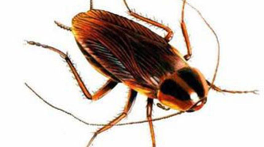 Hamam b&ouml;ceğinden elektrik