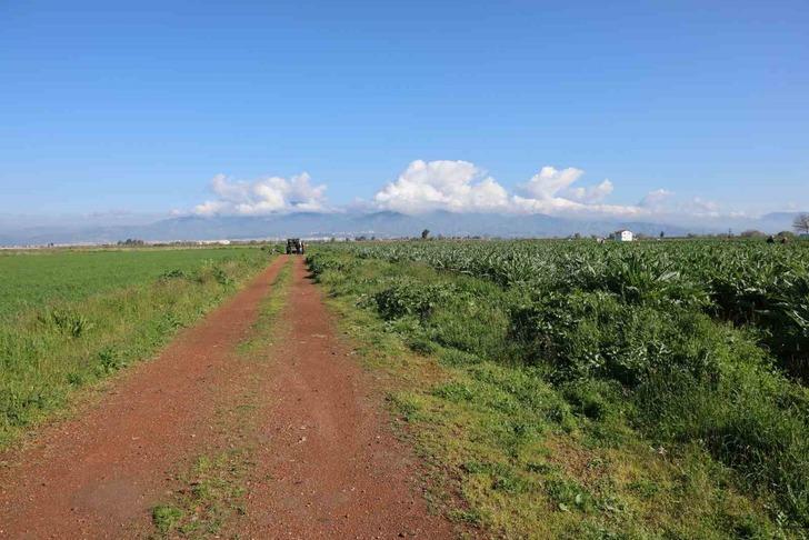 'Yeşil altın' diyorlar! Tarlada 20 TL, tabakta 400 TL... Fiyat farkı artıyor 'Artık lüks olmaya başladı' G4