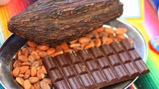 3 aydan daha az sürede 2 kat arttı: Kakao fiyatları rekor seviyede