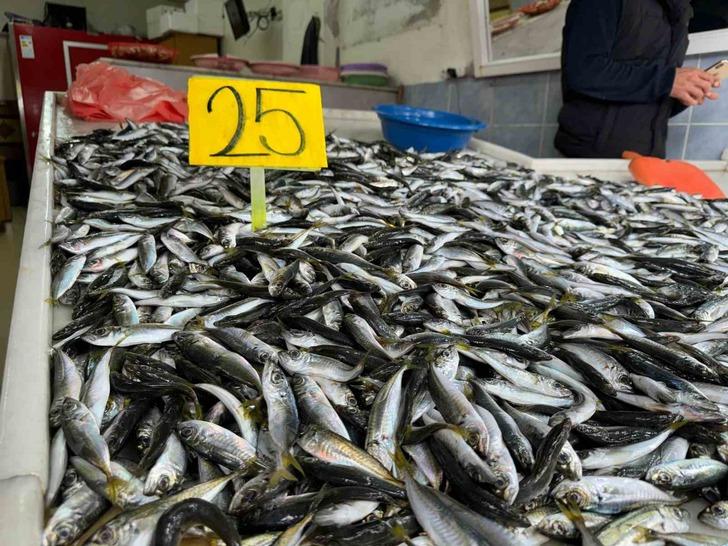 Kilosunu 75 TL'den 25 TL'ye düşürdü! Öğrenince kuyruğa girdiler... Birbirleriyle yarıştılar 'Yesin millet' G5