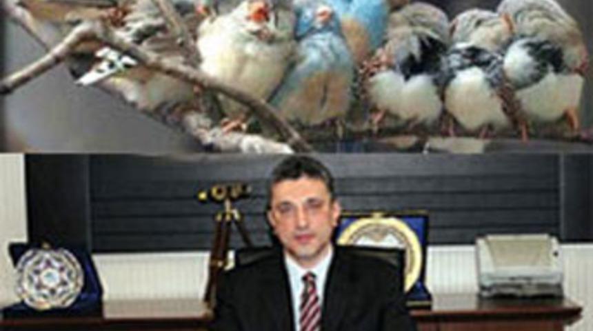 'Müdür sıyırdı' dedirten mail