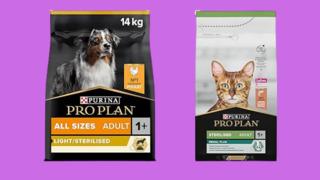 Bahar Fırsatları kapsamında kedi ve köpek mamalarına özel indirimler başladı