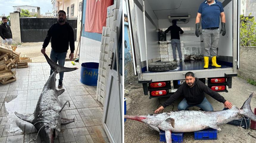 Boyu 3 metre, ağırlığı 150 kilo! Avladığı dev kılıç balığını 30 bin TL'ye sattı