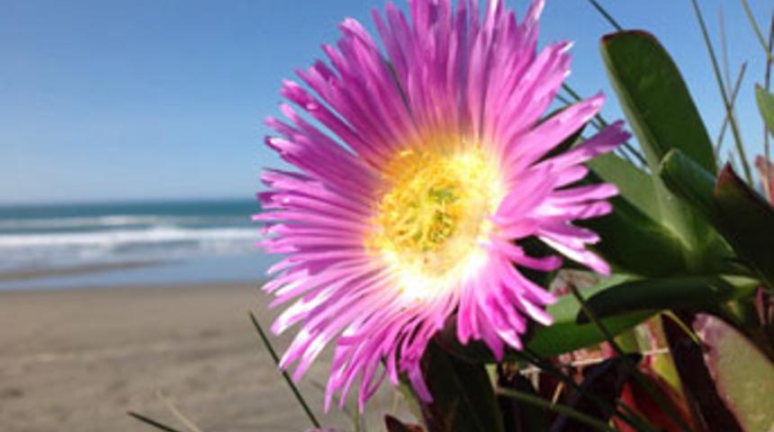 Yeni iPad ile çekilmiş müthiş fotoğraflar